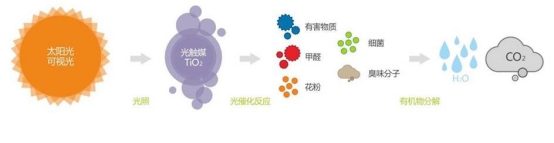 墨者辜思历——从大闸蟹谈到食品安全溯源